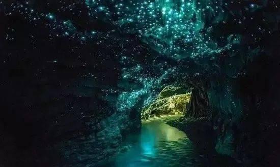 奇幻恐龙世界2